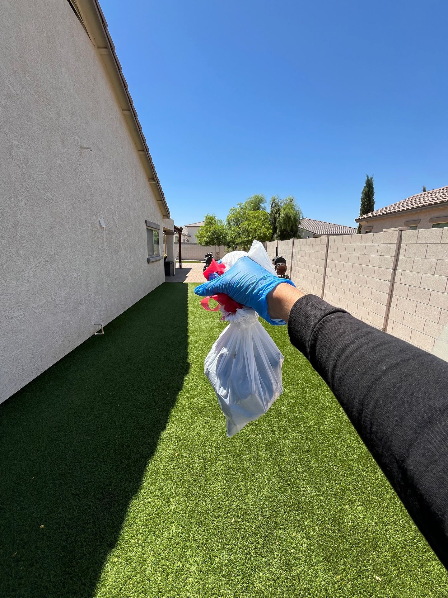 Weekly Poop Scoops