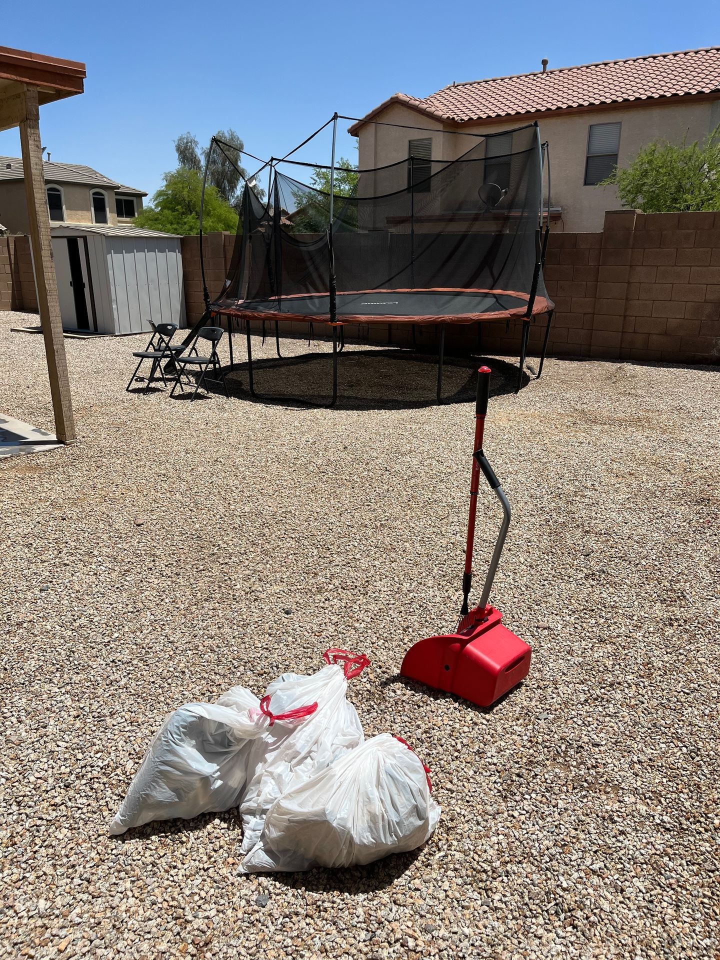 Dog Poop Piles
