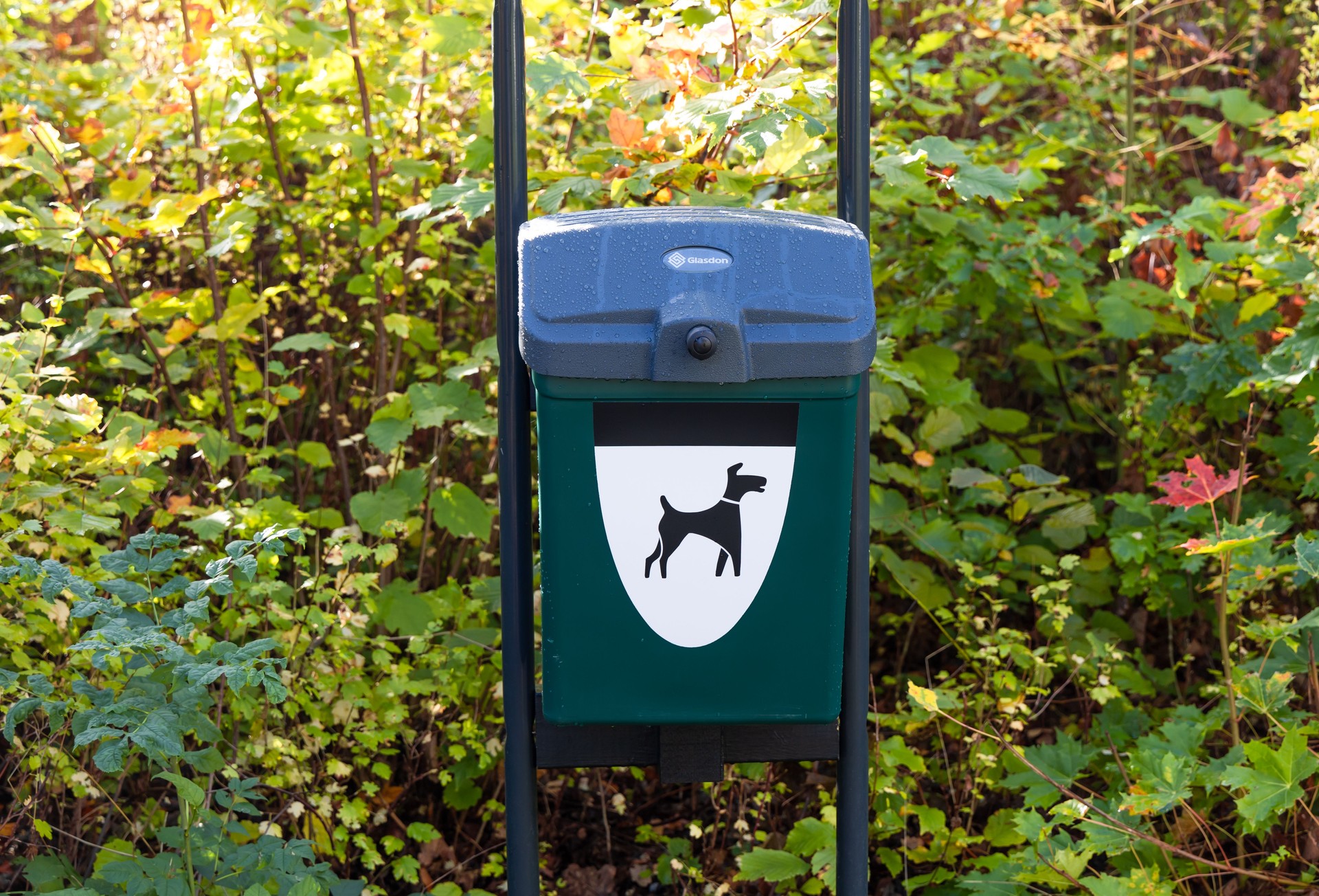 Green dog waste bin container in a park.